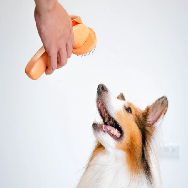拓生活 智能寵物梳毛刷 貓咪噴霧按摩除毛梳(寵物梳子 自動噴