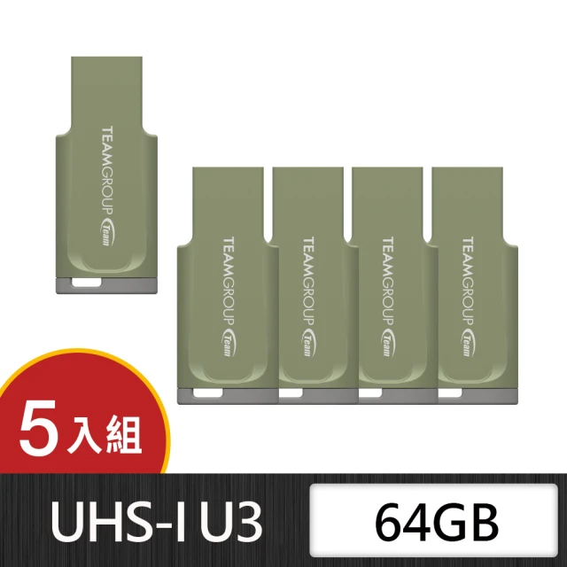 Team 十銓 C201 64GB 印象碟 USB 3.2 莫蘭迪系列 隨身碟 灰調綠(防潑水+終身保固五入組)