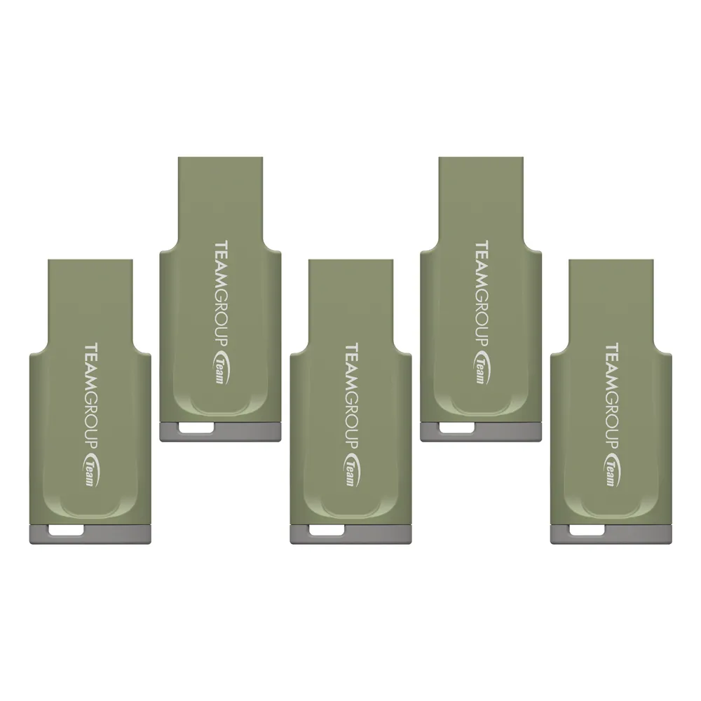 【Team 十銓】C201 64GB 印象碟 USB 3.2 莫蘭迪系列 隨身碟 灰調綠(防潑水+終身保固五入組)