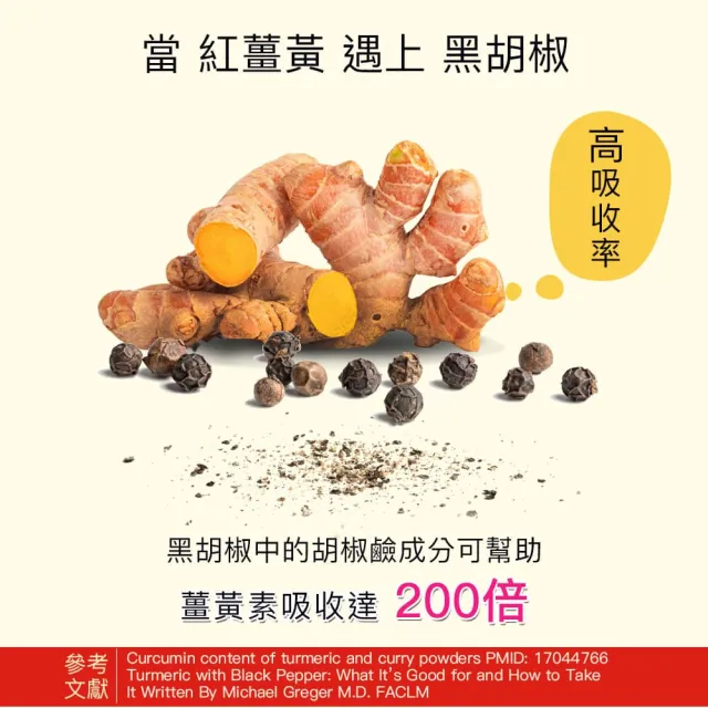 【High Tea 伂橙】薑茶4種任選12入x1盒(無咖啡因、100%無添加、無糖茶、隨身包、獨立包裝)