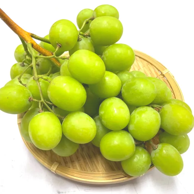 【2026】葡萄推薦ptt》10款高評價人氣品牌排行榜 | 好吃美食的八里人