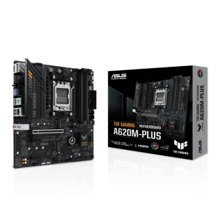 【ASUS 華碩】TUF GAMING A620M-PLUS 主機板+KIOXIA Exceria G2 1TB M.2 SSD