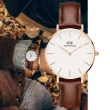 【Daniel Wellington】Petite St Mawes系列  中性玫瑰金真皮皮革腕錶-白面/32mm(DW00100175)