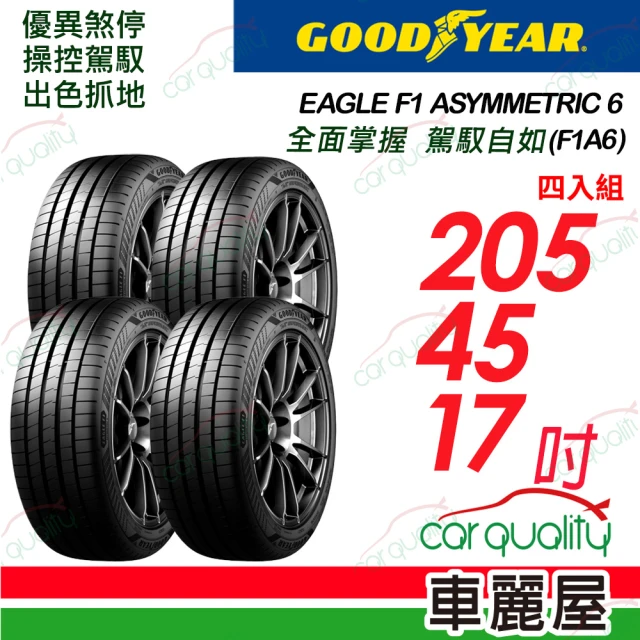 NANKANG 南港輪胎 NS25 安全舒適輪胎205/45