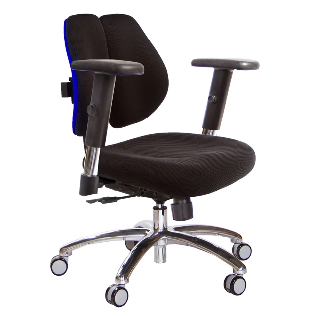 GXG 吉加吉GXG 吉加吉 低雙背 電腦椅 鋁腳/SO金屬扶手(TW-2603 LU5)