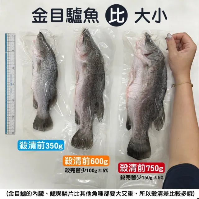 【一手鮮貨】台灣生態養殖金目鱸魚(1尾組/單尾殺清前750g)
