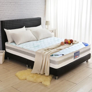 【LooCa】比利時防蹣抗敏護框硬式獨立筒床墊(雙人5尺-送保潔墊+枕套)