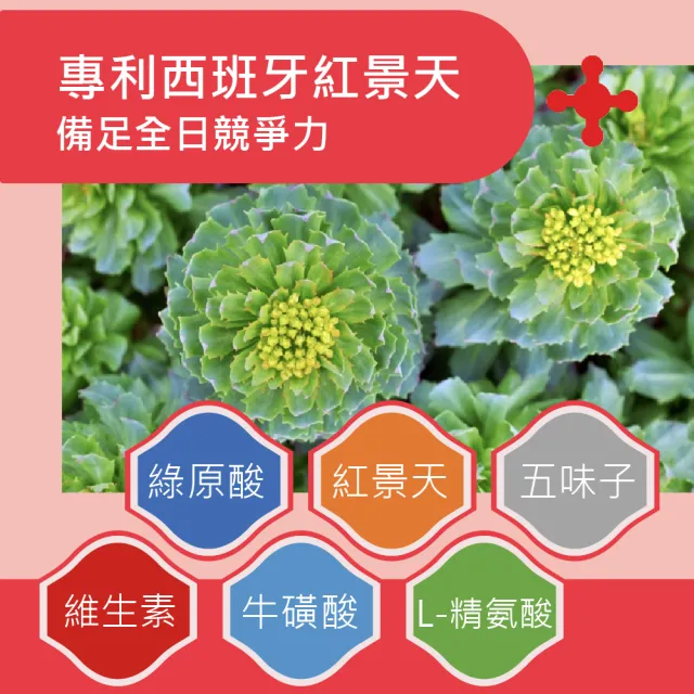 【穆拉德】B+群一氧化氮強化膠囊6入組(共180顆;紅景天、五味子、牛磺酸、精胺酸)