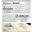 【LooCa】達人乳膠雲端式三線獨立筒床墊(加大6尺)