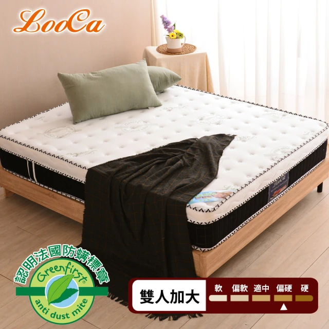 【LooCa】防蹣防蚊4.8雙簧護框硬式獨立筒床墊(加大6尺)