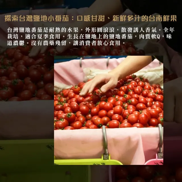 【每日宅鮮】任選$699免運 台灣鹽地番茄(600g±5% x1盒)