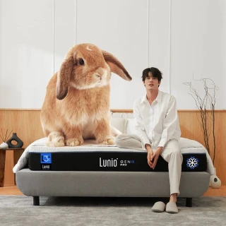【Lunio】Gen4石墨烯單人3.5尺乳膠床＋枕(7層機能設計 全新升級 加倍好睡)