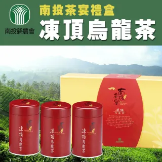 凍頂烏龍茶- momo購物網- 好評推薦-2025年4月