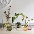 【北歐櫥窗】Holmegaard Primula 櫻花草 玻璃花瓶(橢圓、大、晶瑩)
