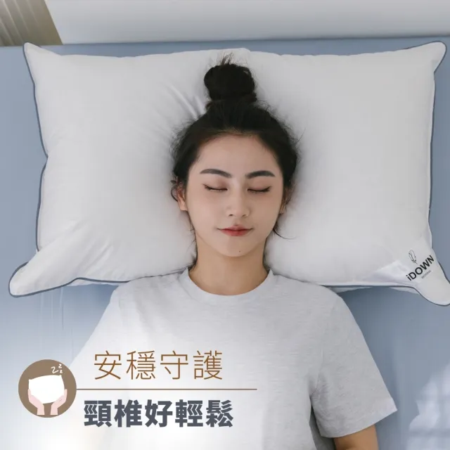 【iDOWN BEDDING】灰條舒適羽毛枕 1 入組(屬於中低枕、躺起來硬實感)