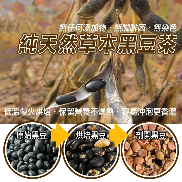 【蔘大王】真厚味剖半開仁純黑豆茶包X6組（6gX20入/組）長效期版(草本潔淨 輕盈順暢 幫助消化 促進代謝)