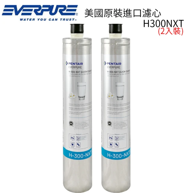 EVERPURE 美國原裝進口濾心(H300NXT 2入裝 平輸品)