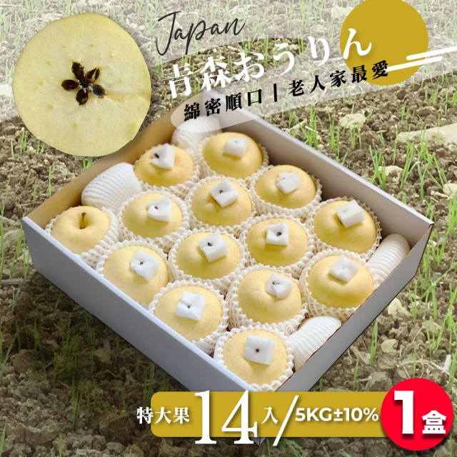 果樹寶石 日本青森金星蘋果特大果28顆x1箱（10KG±10