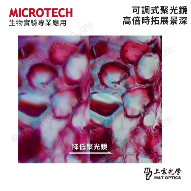 【MICROTECH】LX120-UPN 顯微鏡攝影套組(台灣總代理公司貨保固)