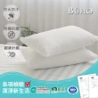 【BUHO】防蹣透氣100%防水針織信封式枕套/墊(2入)
