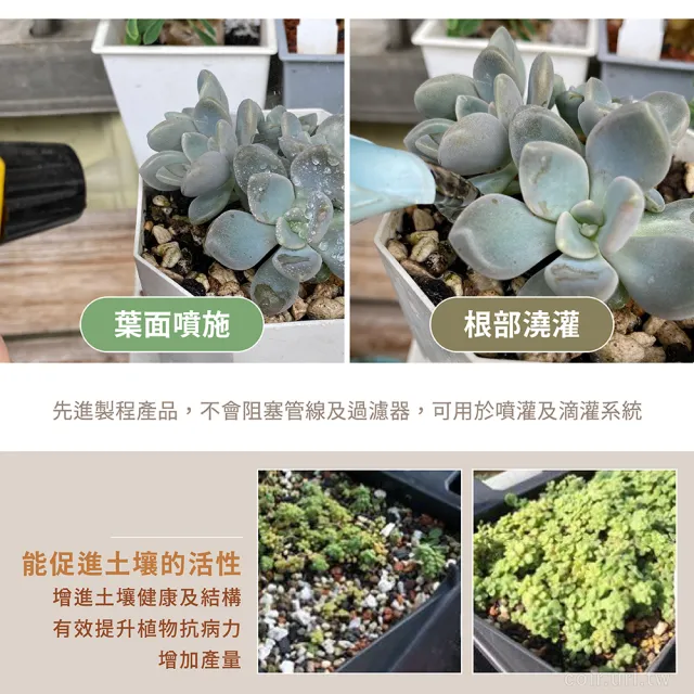 【高效多肉肥料】幼苗成長＋葉片肥厚 多肉雙寶(純植物有機質液肥組合 天然配方 低味道 安全無毒 開根葉旺)
