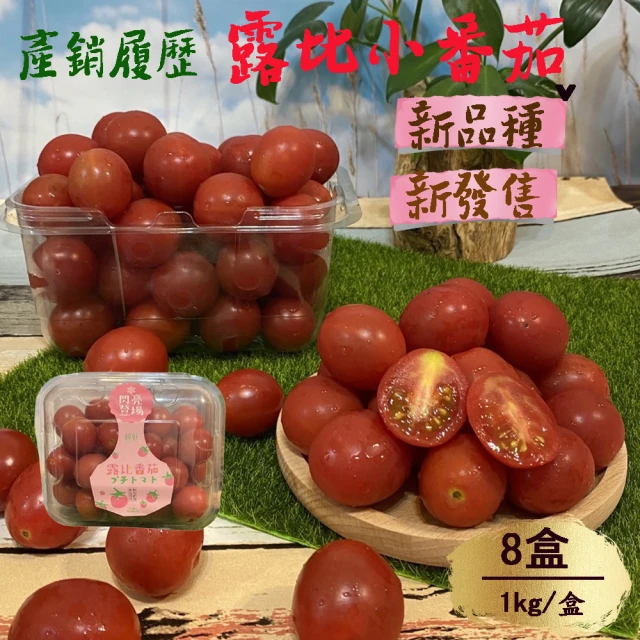 初品果 高雄旗山露比小番茄x8盒(1kg/盒_產銷履歷_新發