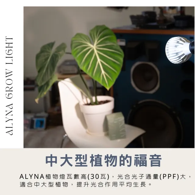 【微糖花植間】Alyna植物燈禮盒組/植物生長燈(全光譜植物燈禮盒)