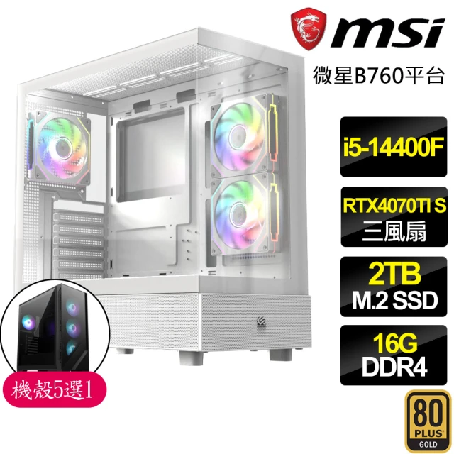 微星平台 i5十核 RTX4070TI SUPER {紫雁}