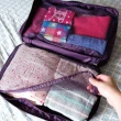 【旅行玩家】旅行用雙層分類收納袋/衣物行李包(二色可選)