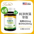 【Lovita 愛維他】植物性DHA藻油200mg素食膠囊 6入組(共360顆)