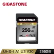 【GIGASTONE 立達】SDXC SD UHS-I U3 A1V30 4K 256GB高速記憶卡(256G 單眼相機/攝錄影機專用記憶卡)