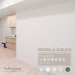 【日本Felmenon菲米諾】DIY立體切邊吸音板 60x30CM 8片裝(防焰/無塑化劑/降噪)