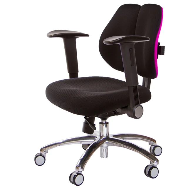 GXG 吉加吉 低雙背 工學椅 鋁腳/摺疊扶手(TW-2605 LU1)