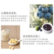 【原味時代】藍莓優格丁減醣貝果(3入)