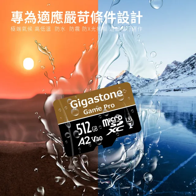 【GIGASTONE 立達】microSDXC UHS-Ⅰ U3 A2V30 256GB遊戲高速記憶卡-2入組(支援Switch/GoPro)