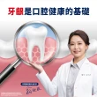 【Parodontax 牙周適】固齒護齦 牙齦護理牙膏80gX3入(高效清新)