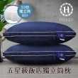 【Hilton 希爾頓】五星級純棉滾邊立體銀離子抑菌獨立筒枕/買二送二/二色任選(枕頭/透氣枕)