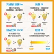 【台灣CNS認證 台灣製造】6入 LED山型燈具 雙管 2尺 LED 燈管 雙端入電(白光/中性光/黃光)