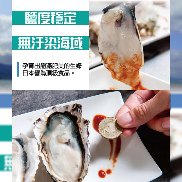 【鮮綠生活】日本冷凍全殼生蠔 3包(10公分以上/顆 5顆/包)