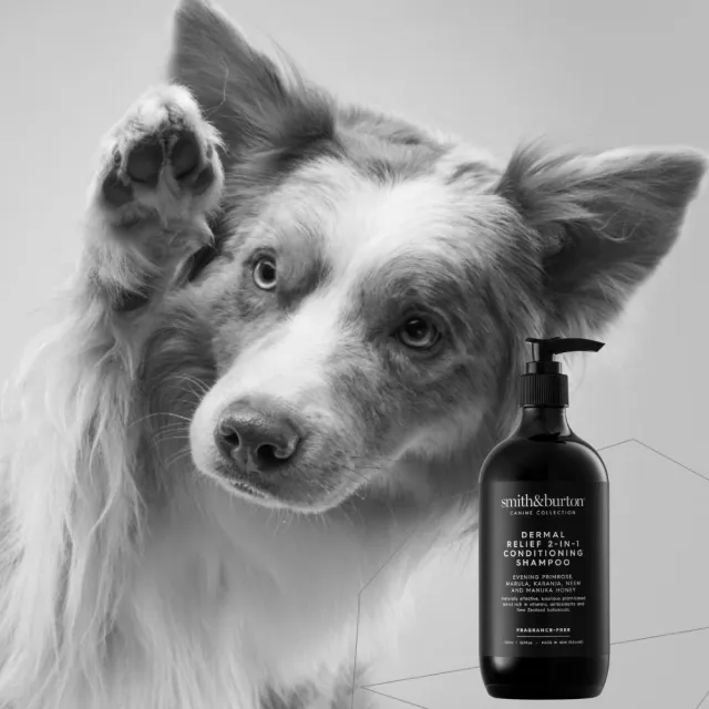 【smith&burton】低敏舒膚2合1洗毛精500ml犬貓適用(防蚤驅蟲/控制搔癢/寵物舒緩/寵物洗澡洗劑/狗貓清潔)