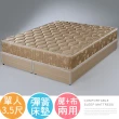 【Homelike】奧亞6環護背硬式床墊(單人3.5尺)