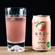 【田島硝子】日本手工吹製櫻花富士山啤酒杯(TG16-015-TS)