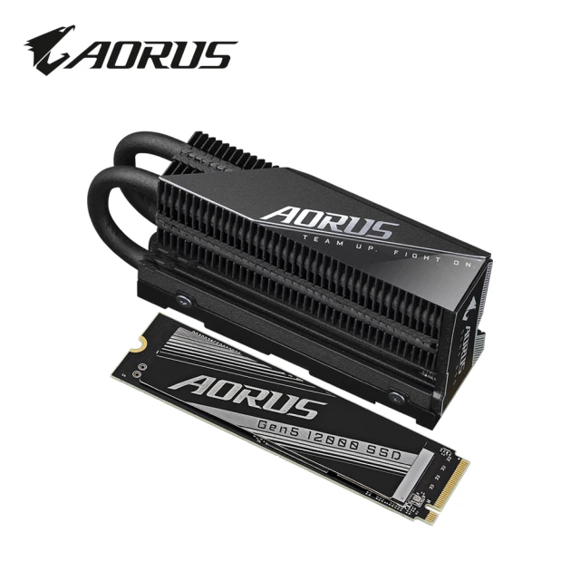 【GIGABYTE 技嘉】AORUS Gen5 12000 2TB SSD 固態硬碟