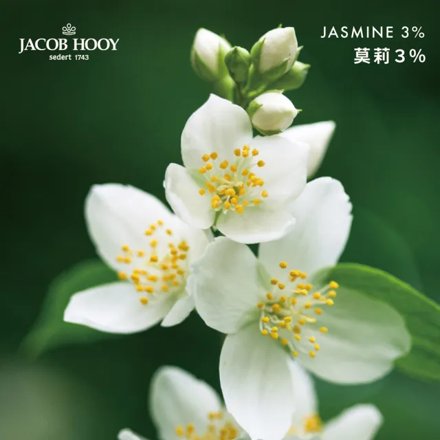 【Jacob Hooy 皇家雅歌布】茉莉3%精油Jasmijn10ml(Jacob Hooy皇家雅歌布精油)