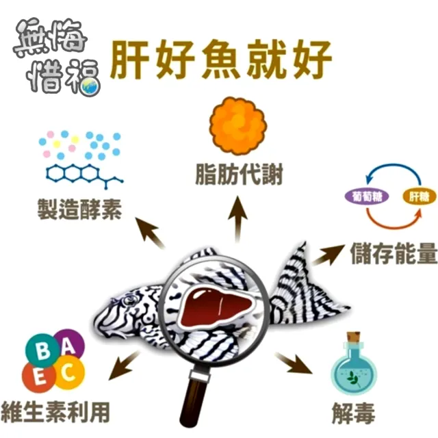 【海豐飼料】無悔惜福 150g 錠片 肉食性底棲 草本蟲源沉底配合飼料(適合魟魚、異型、鼠魚及恐龍魚等食用)
