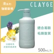 【CLAYGE】海泥洗髮精任2罐附贈D潤髮乳1罐(無矽靈/頭皮養護/髮根蓬鬆/強韌髮根/受損髮質/500ml)