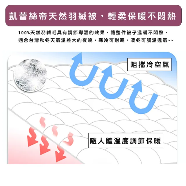 【凱蕾絲帝】台灣製造-6x7尺耐寒5℃羽絨毛被純天然蓄熱保暖(雙人-高回購率/冬被)