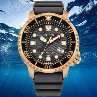 【CITIZEN 星辰】PROMASTER系列 200米潛水光動能腕錶 禮物推薦 畢業禮物(BN0163-00H)