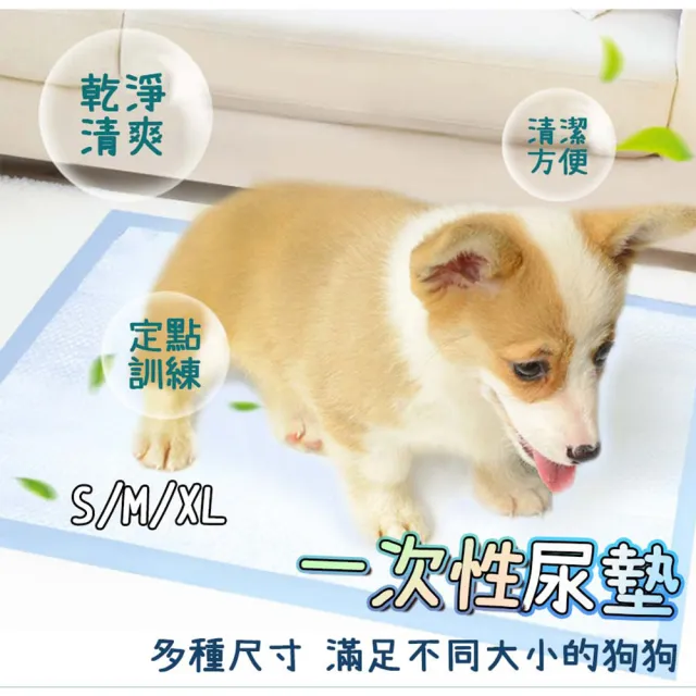 【ENJOY LIFE 樂享生活】買5送5 寵物吸水尿布墊(一次性尿墊 狗尿片 免洗尿墊)