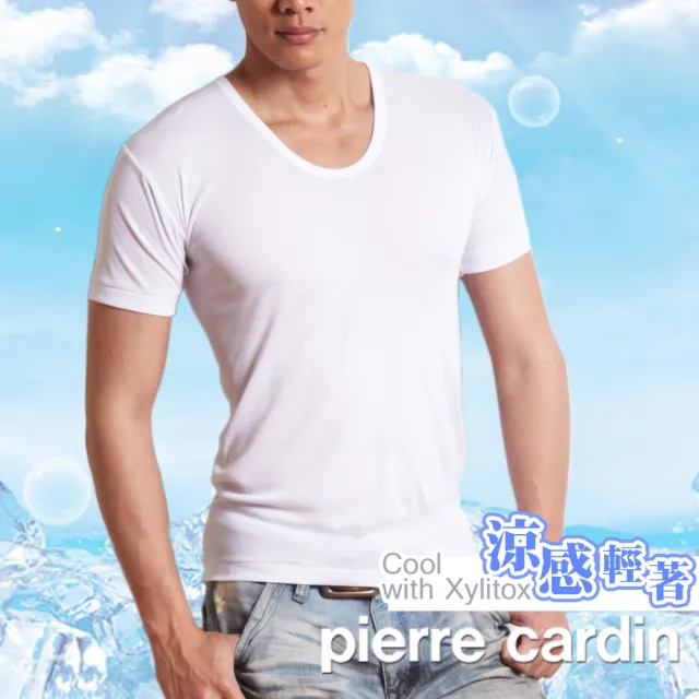 【pierre cardin 皮爾卡登】任選_M號 日本涼感透氣纖維舒適U領短袖衫(速達單件)